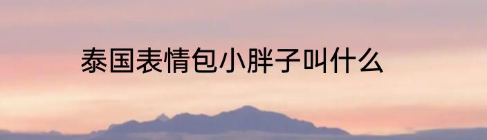 泰国表情包小胖子叫什么