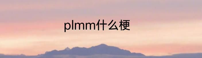 plmm什么梗