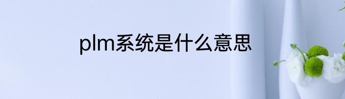 plm系统是什么意思