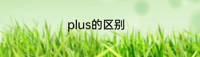 plus的区别