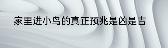 家里进小鸟的真正预兆是凶是吉