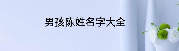 男孩陈姓名字大全