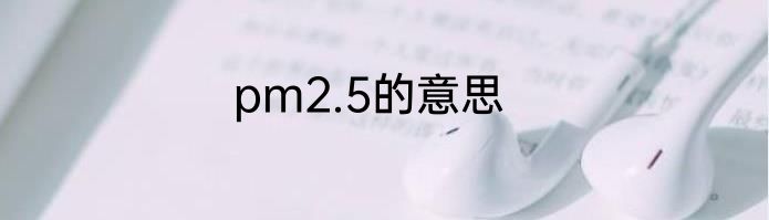 pm2.5的意思