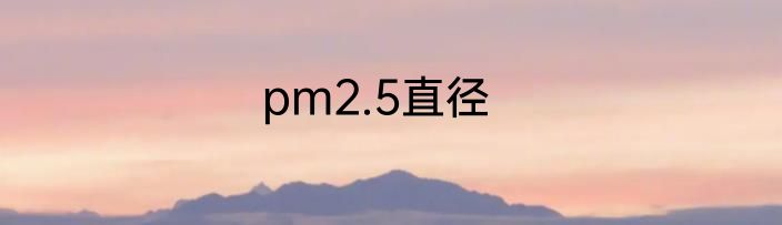 pm2.5直径