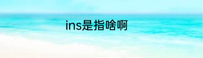ins是指啥啊