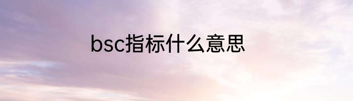 bsc指标什么意思