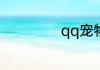 qq宠物怎么调出来