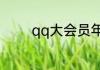 qq大会员年费升级包怎么用