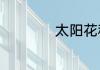 太阳花种子种植方法