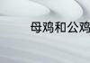 母鸡和公鸡哪个营养价值高