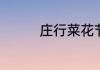 庄行菜花节什么时候开始