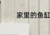家里的鱼缸养几条鱼最旺财