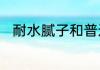 耐水腻子和普通腻子的区别在哪里