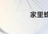 家里蜂窝怎么处理