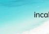 incall什么意思