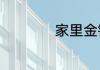 家里金银花怎么种植