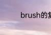 brush的复数形式是什么