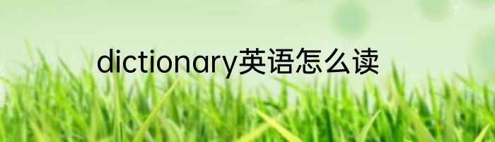 dictionary英语怎么读