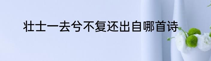 壮士一去兮不复还出自哪首诗