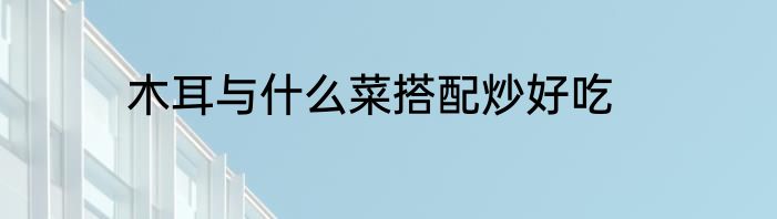木耳与什么菜搭配炒好吃