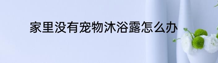 家里没有宠物沐浴露怎么办