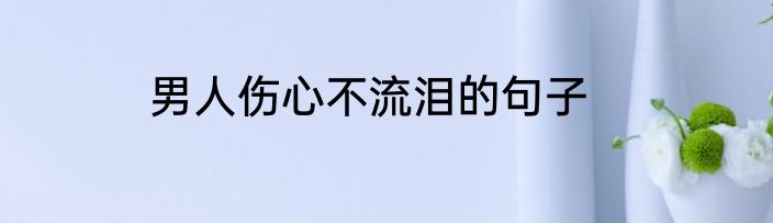男人伤心不流泪的句子