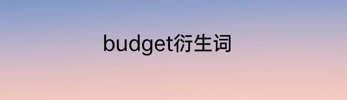 budget衍生词