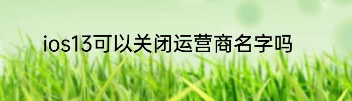 ios13可以关闭运营商名字吗