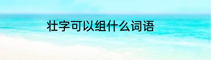 壮字可以组什么词语