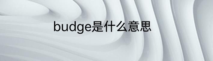 budge是什么意思