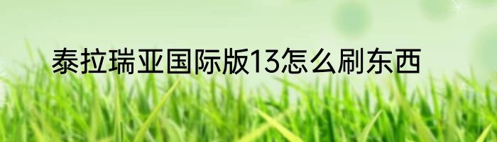 泰拉瑞亚国际版13怎么刷东西