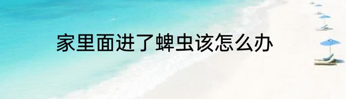 家里面进了蜱虫该怎么办