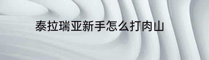 泰拉瑞亚新手怎么打肉山