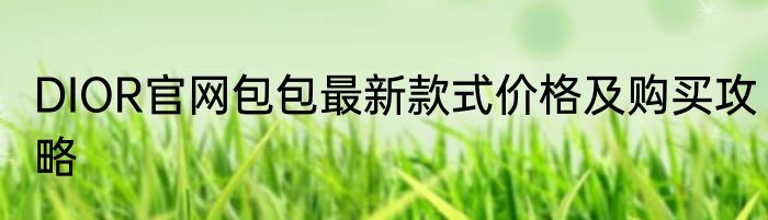 DIOR官网包包最新款式价格及购买攻略