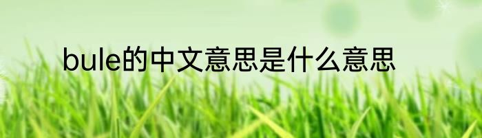 bule的中文意思是什么意思