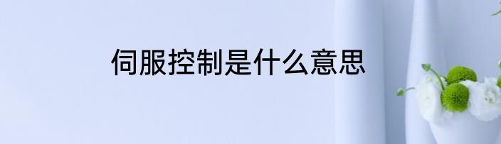 伺服控制是什么意思