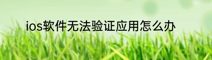 ios软件无法验证应用怎么办