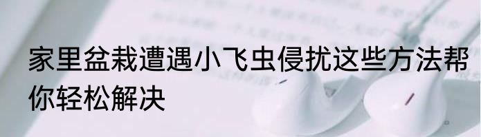 家里盆栽遭遇小飞虫侵扰这些方法帮你轻松解决