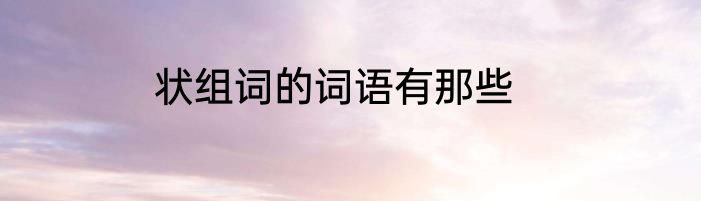 状组词的词语有那些