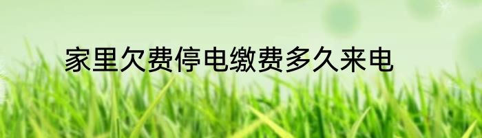 家里欠费停电缴费多久来电