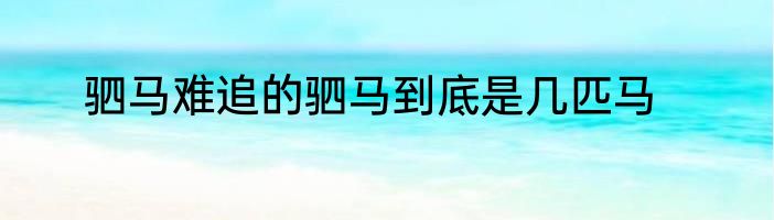 驷马难追的驷马到底是几匹马