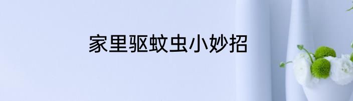 家里驱蚊虫小妙招
