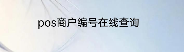 pos商户编号在线查询