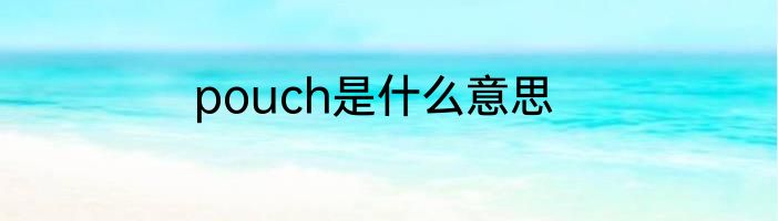 pouch是什么意思