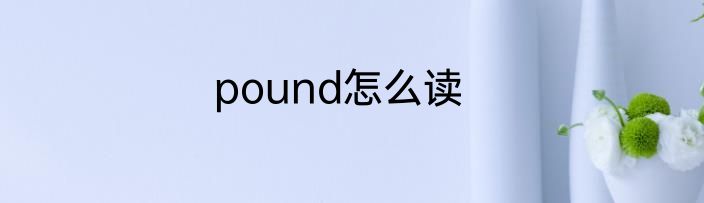 pound怎么读