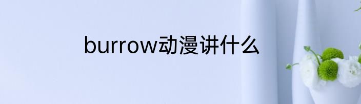 burrow动漫讲什么