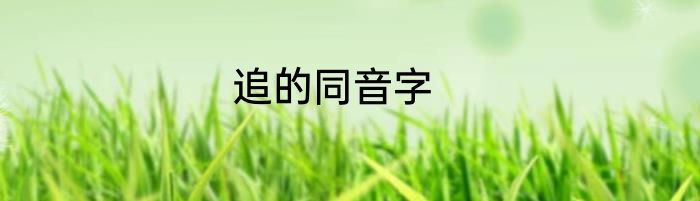 追的同音字
