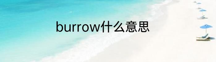 burrow什么意思