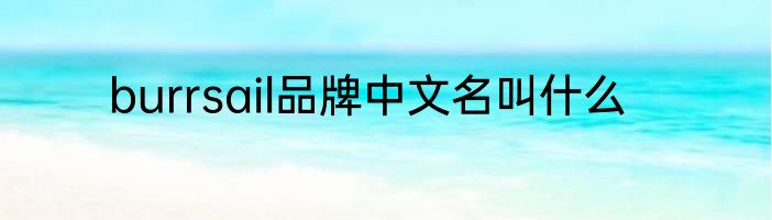 burrsail品牌中文名叫什么