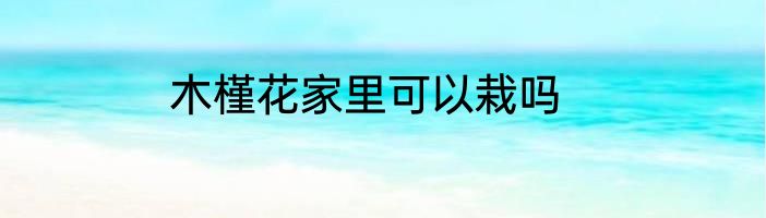 木槿花家里可以栽吗